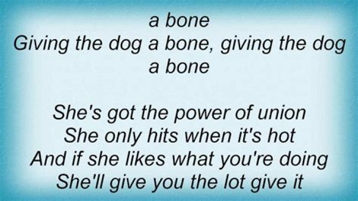 Give a dog a bone rap song lyrics
