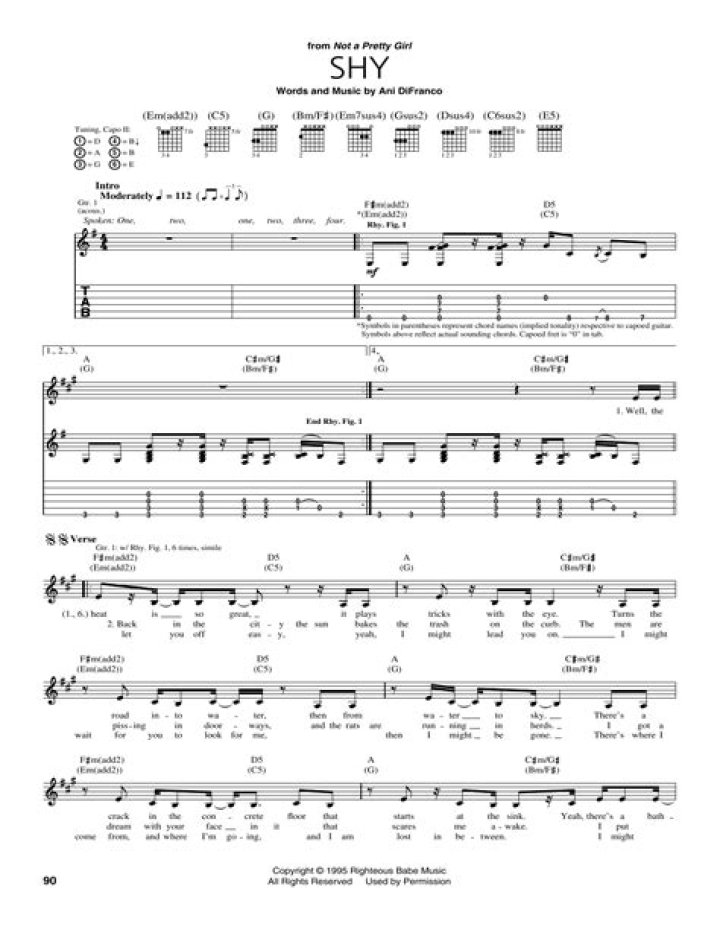 GREY CHORDS by Ani DiFranco