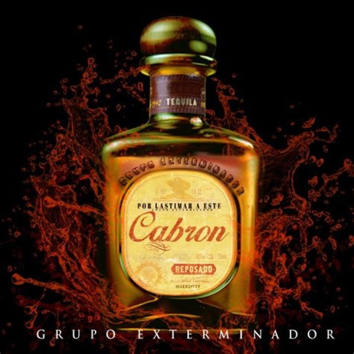 Grupo Exterminador Por Lastimar A Este Cabron Lyrics English Translation