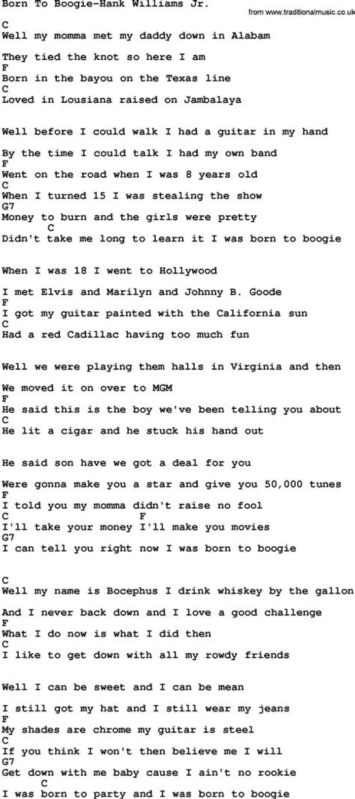 Hank williams jr. lyrics