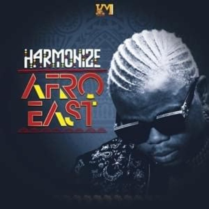 Harmonize_mpaka kesho lyrics