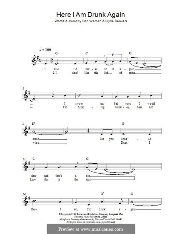 Here i am drunk again tonight just like i was the night before that lyrics