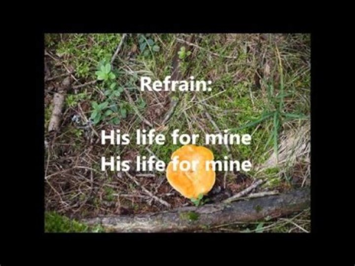 His life for mine lyrics