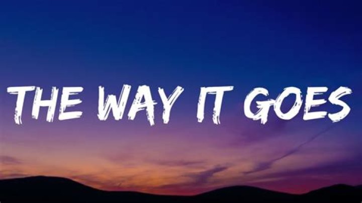 Hoes gonna be hoes, that’s the way it goes lyrics