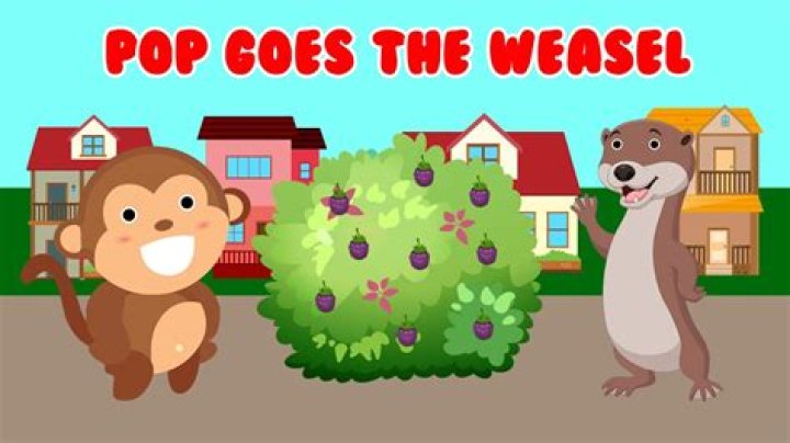 Hopps goes (after) the weasel lyrics