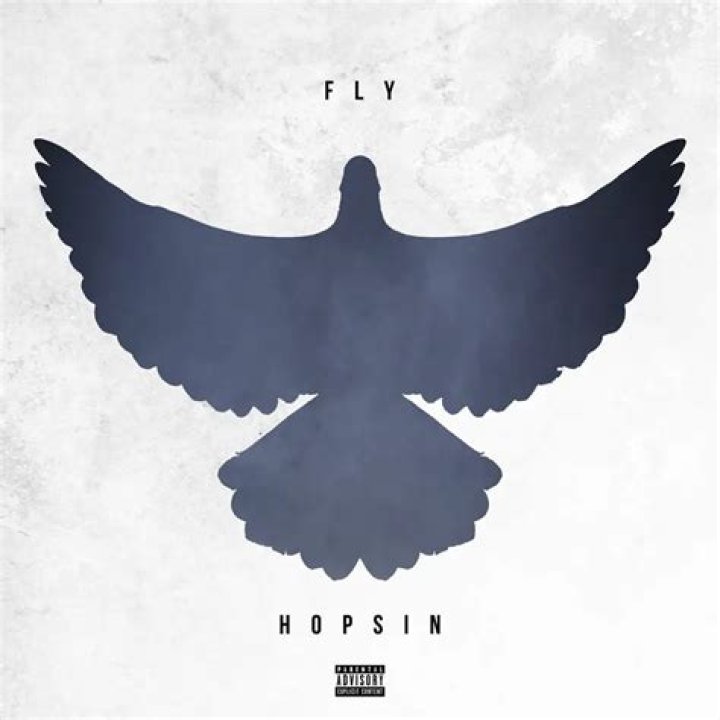 Hopsin fly audio download lyrics