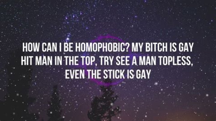How can i be homophobic my boyfriends gay lyrics