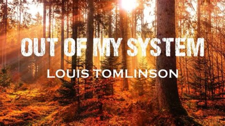 I cant get you out of my system lyrics