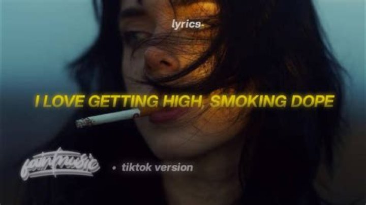 I dont got no weed for you to smoke lyrics