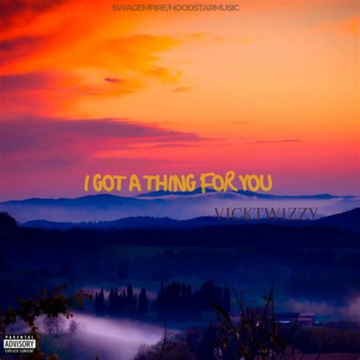 I got a thing for you lyrics