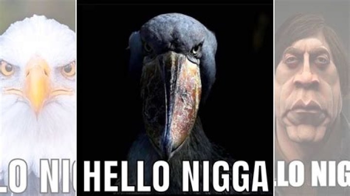 I just took a nigga sneaky link pussy so good all i do is think think lyrics