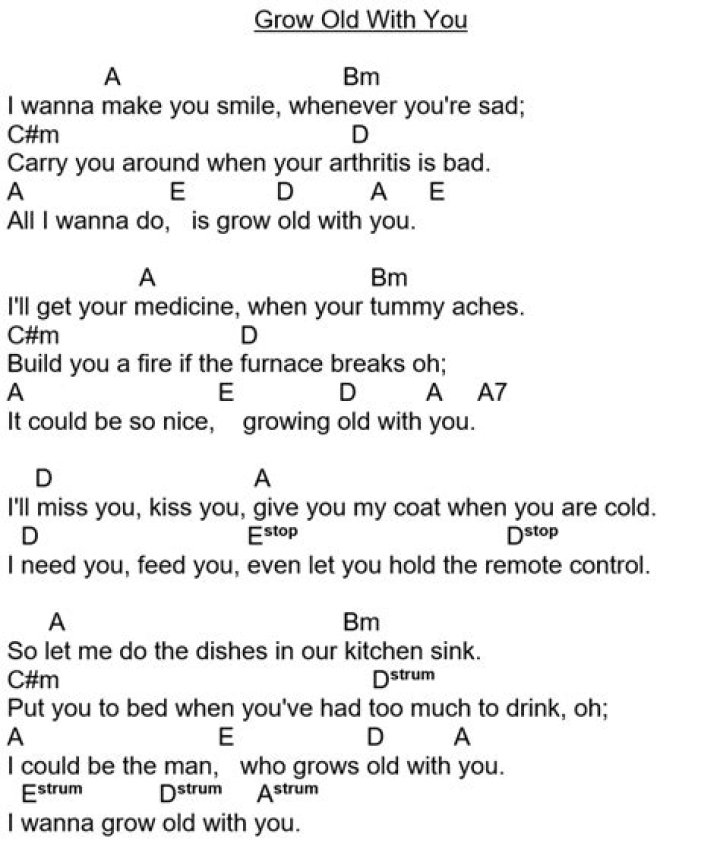 I just wanna make you smile adam sandler lyrics