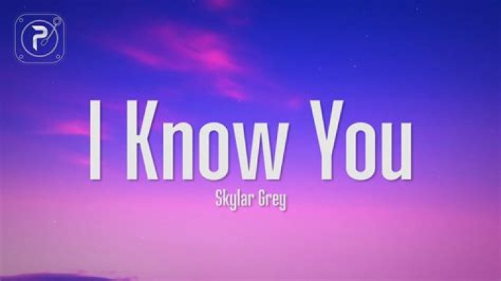 I know you skylar grey lyrics