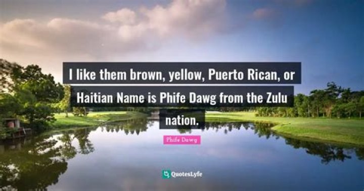 I like em black brown puerto rican or haitian lyrics