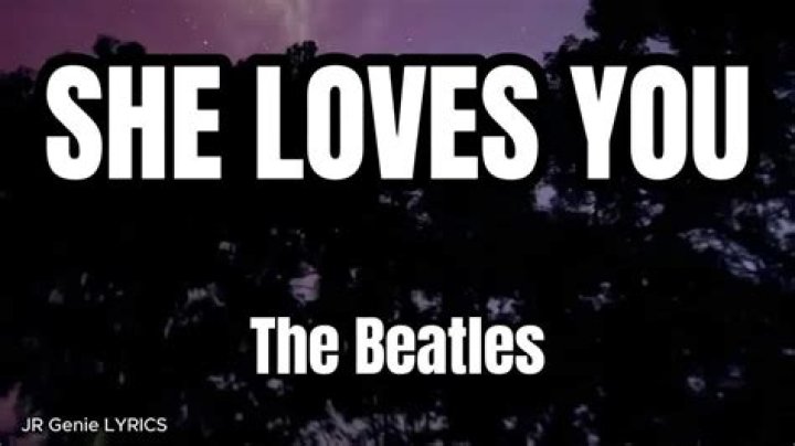 I love her but she loves to bitch lyrics