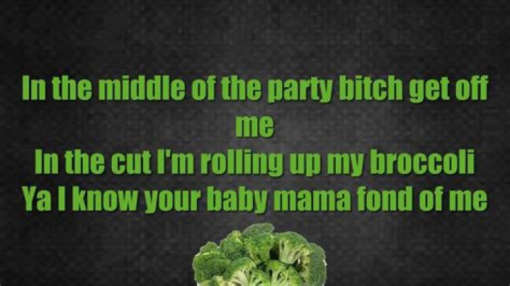I smoke broccoli lyrics