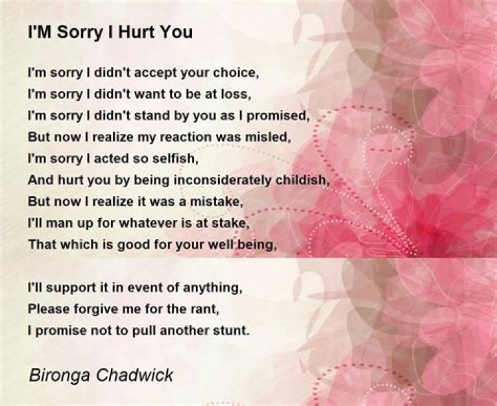 Im sorry, i hurt you, i didnt mean to make you cry lyrics