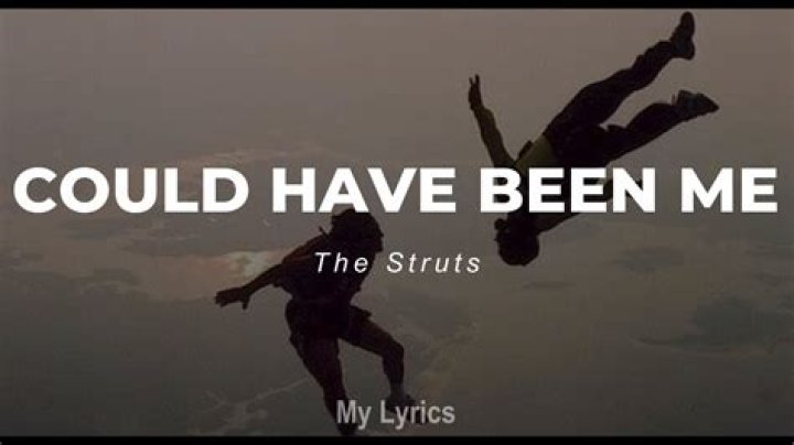 It could have been me lyrics