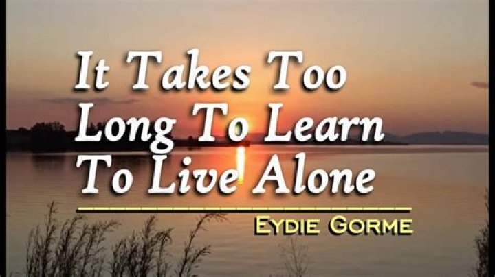It takes too long to learn to live alone lyrics