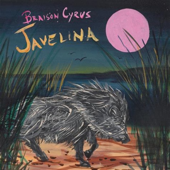Javelina! lyrics