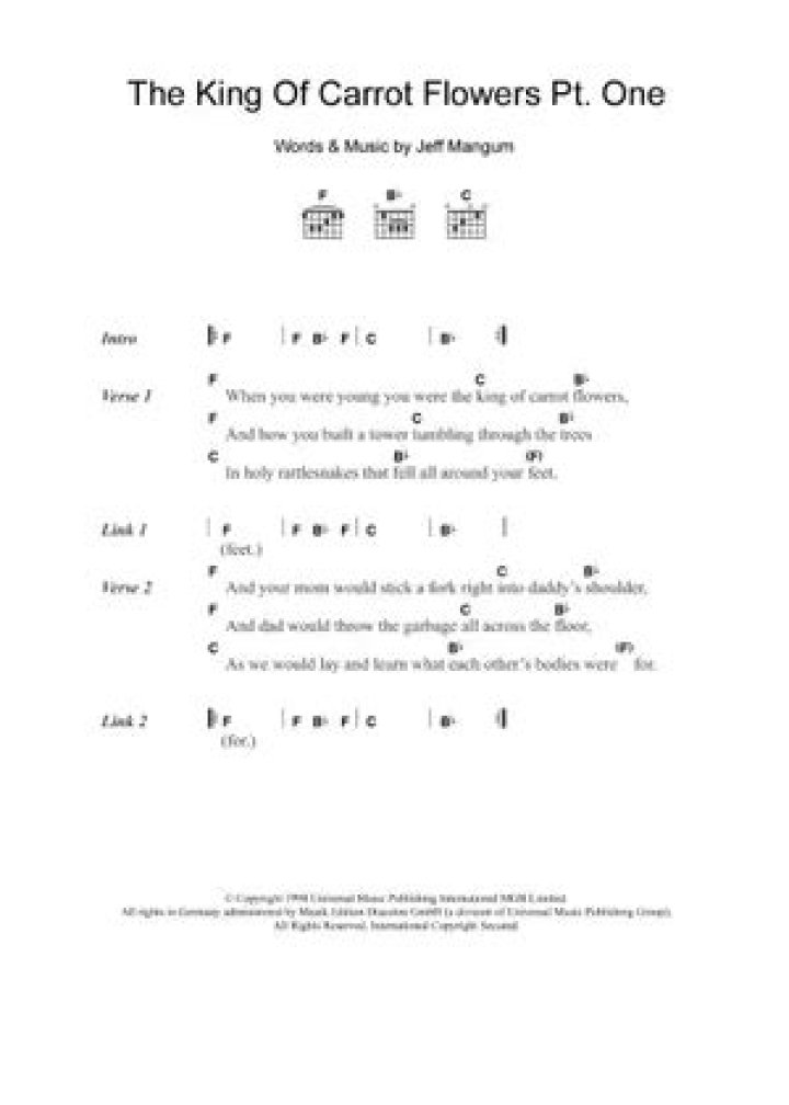 King of carrot flowers, pts. 2 3 . lyrics