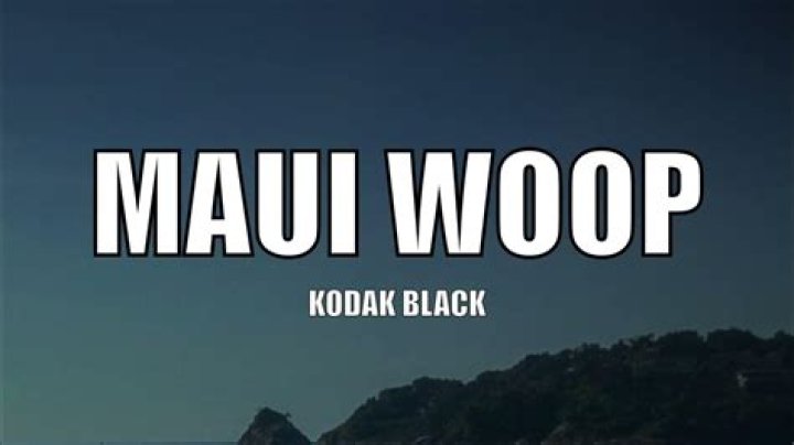 Kodak black maui wop lyrics