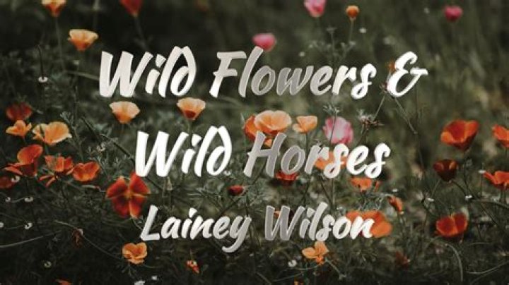 Lainy wilson lyrics