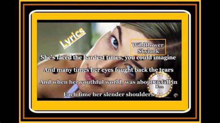 Let her cry for shes a lady lyrics