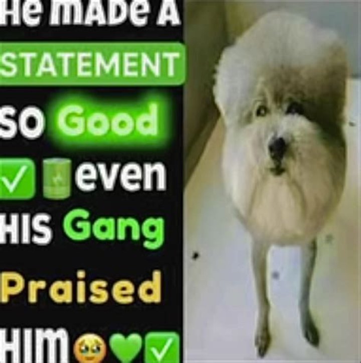 Let me state some facts bro said lyrics