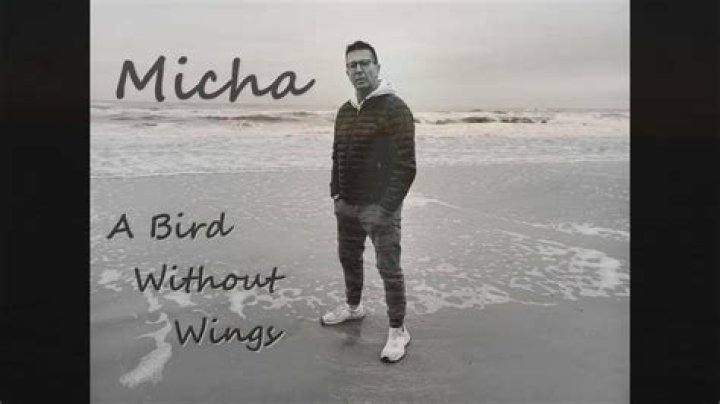 Like a bird with no wings lyrics