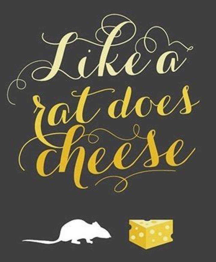 Like a rat does cheese lyrics