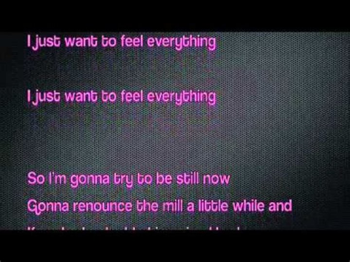 Literally my life bitches every single night lyrics