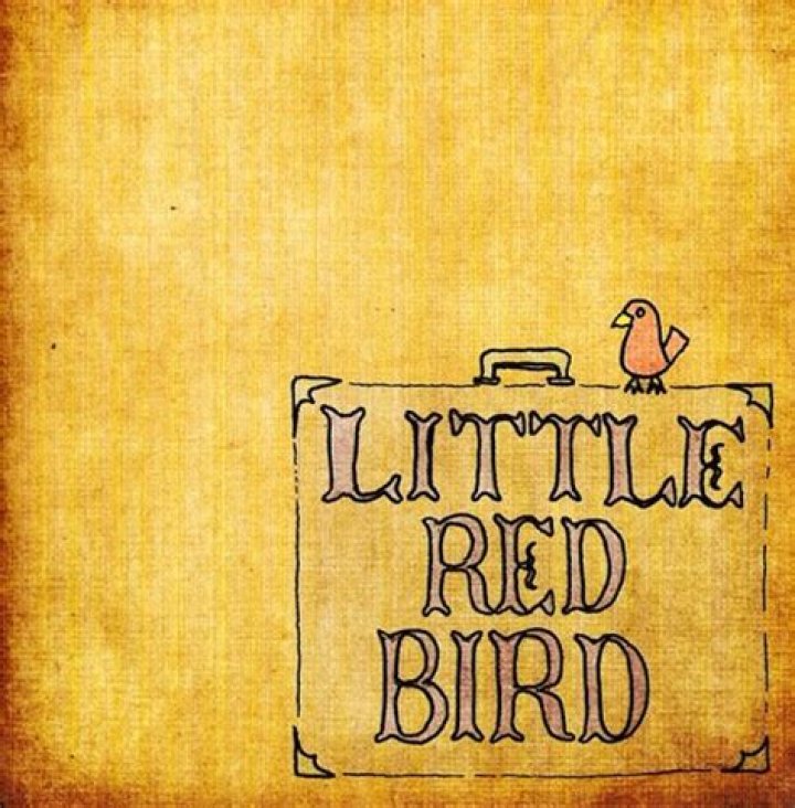 LITTLE RED BIRD CHORDS by Dave Matthews Band