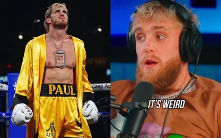 Logan paul brother roast lyrics
