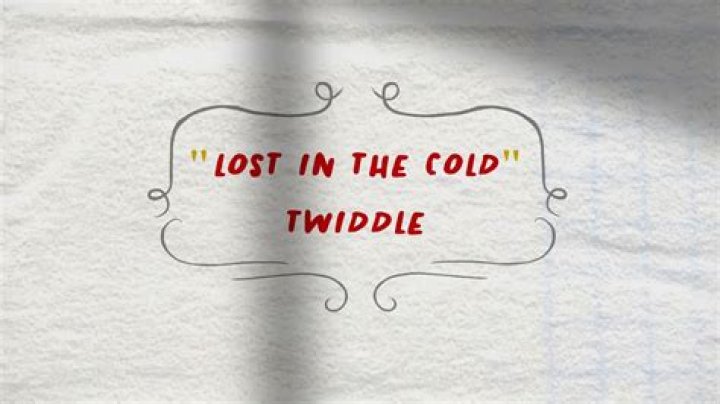 Lost in the cold by twiddle lyrics