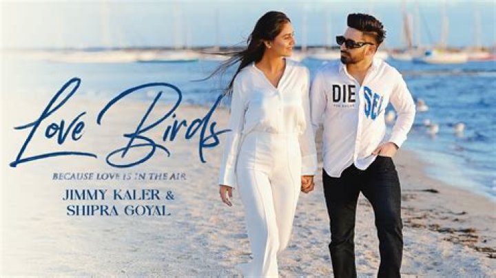 Love birds lyrics