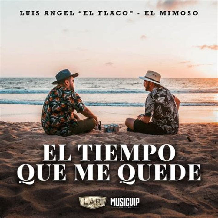 Luis Angel "El Flaco" El Tiempo Que Me Quede Lyrics English Translation