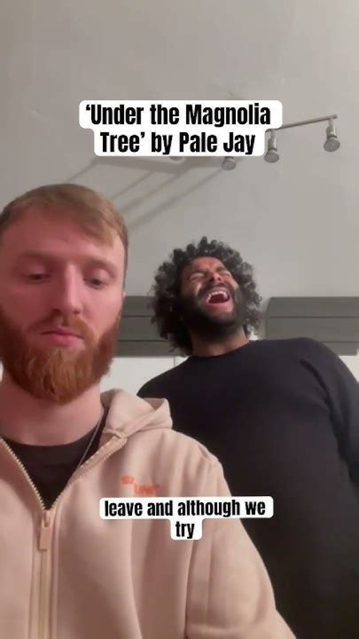 Magnolia tree pale jay lyrics