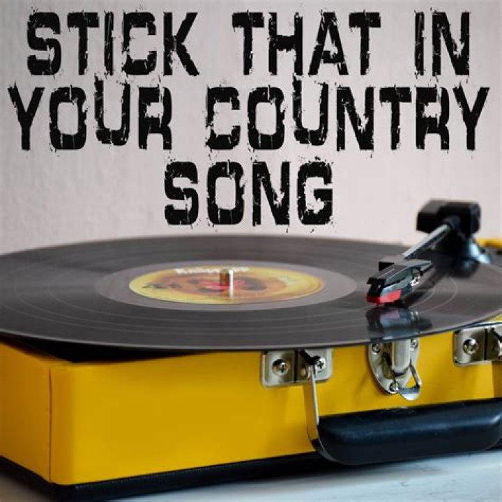 Mamas in the kitchen fry country song lyrics