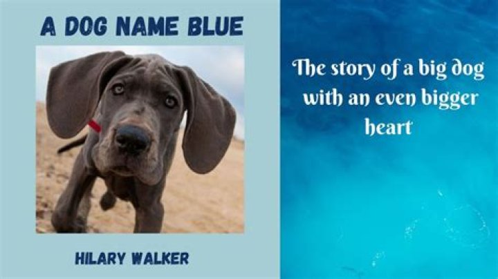 Me and you and a dog named blue lyrics