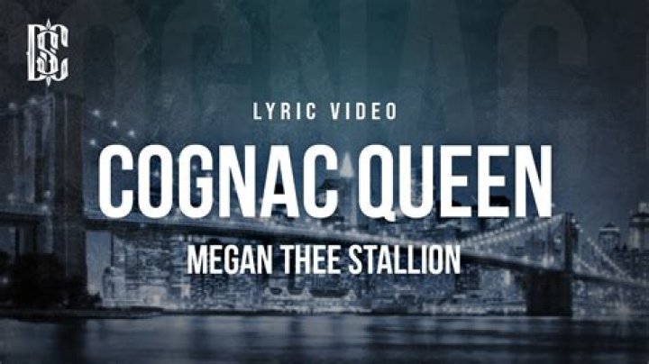 Megan thee stallion cock lyrics