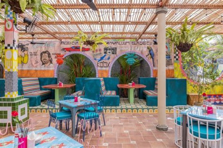 Mexicola meaning by bob o lyrics