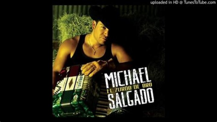 Michael salgado te quiero te extrano lyrics