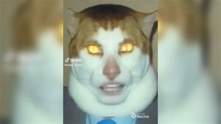 Monday left me broken lyrics