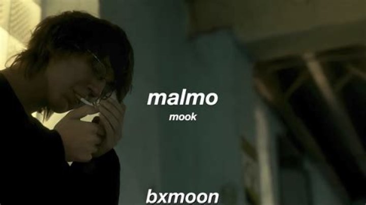 Mook malmo lyrics