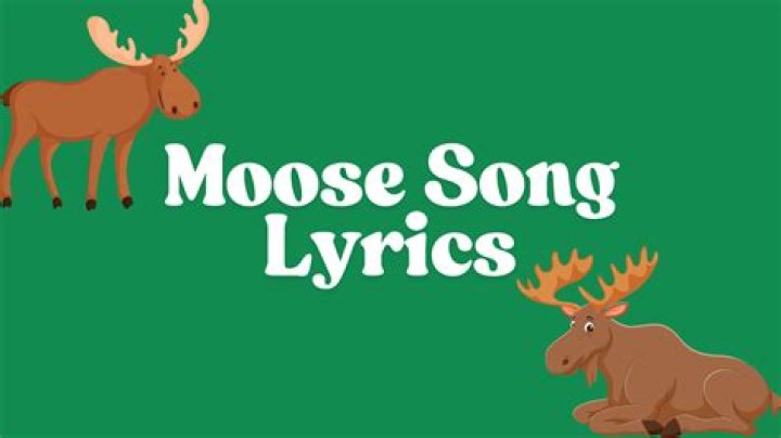 Moose song lyrics