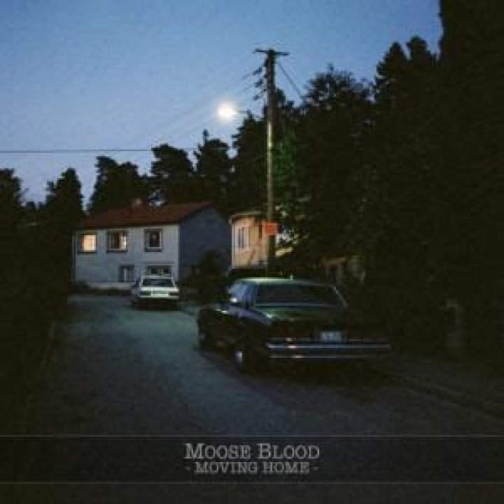 Most Popular Moose Blood Songs