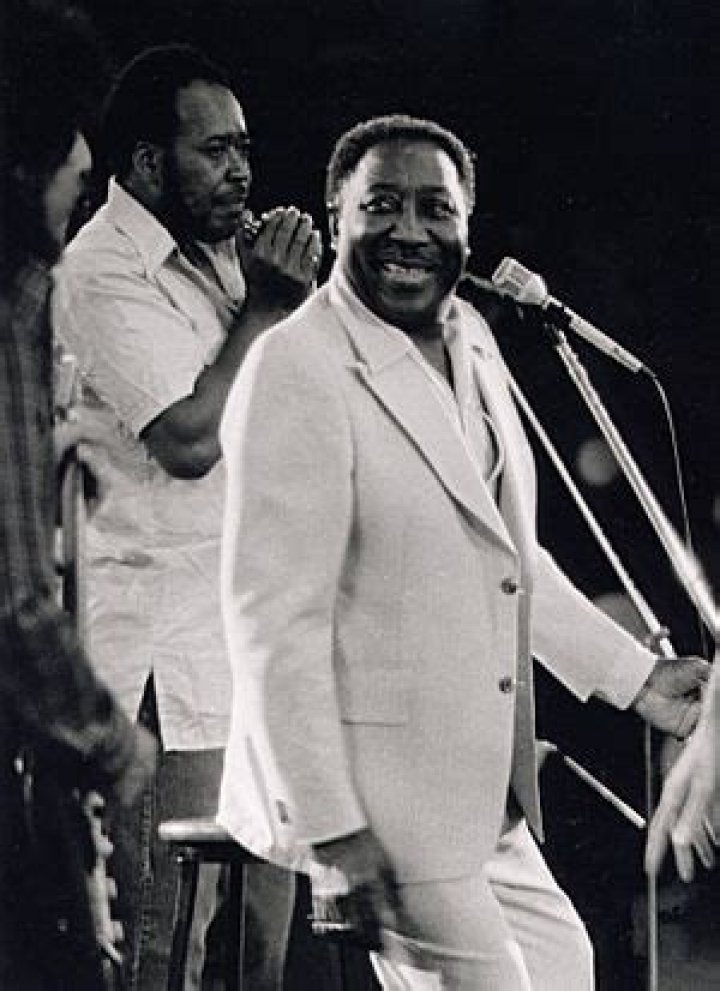 Muddy Waters Facts