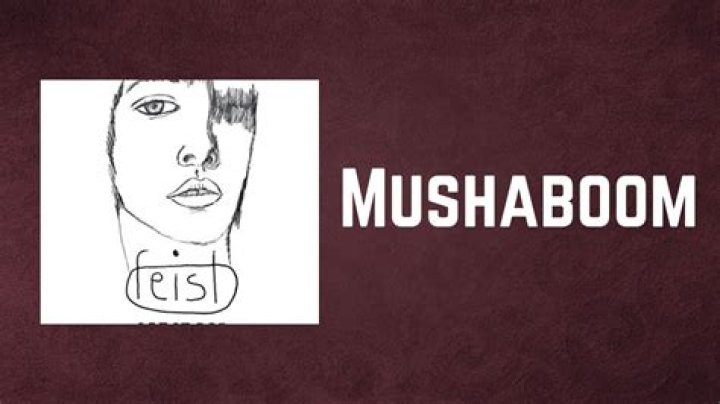 Mushaboom lyrics