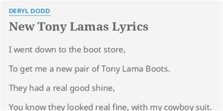 My new tony lamas lyrics